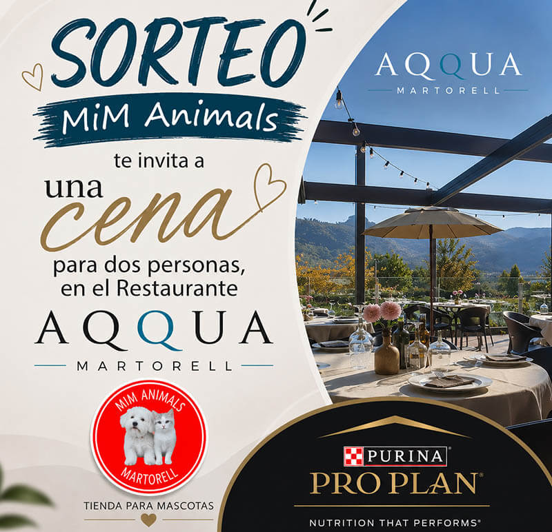 Sorteo Activo